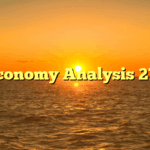 Economy Analysis 271