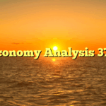 Economy Analysis 370