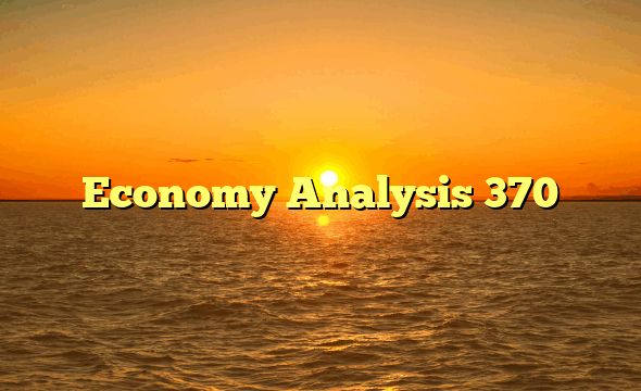 Economy Analysis 370