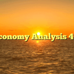 Economy Analysis 411